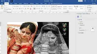 album design in Microsoft word || how to make album design in Microsoft @sdcareeracademy6268