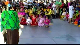 Maripozaz en Primavera
