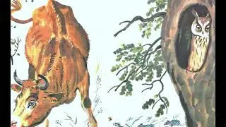 Сова В. Бианки (аудиорассказ)