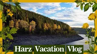 I escaped into the mountains... || Vacation Vlog