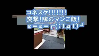 コネスケ２、★SaberTiger、Paragraph、07 Crush & Dush、ガチクズ爆走、P20LiteVOL217、突撃！コネスケver第7回、★オロチを叩き潰し演出を色々見た夜！