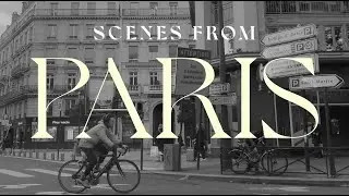 Scenes From Paris  |  Shot on iPhone 13 mini