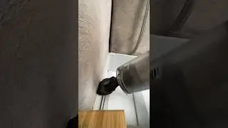 Кошмар 😱 
