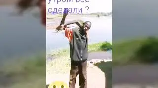 Кек