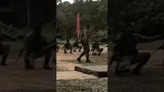 #tdm