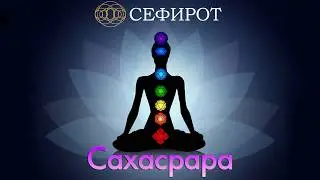 Видеонастройка на Сахасрару
