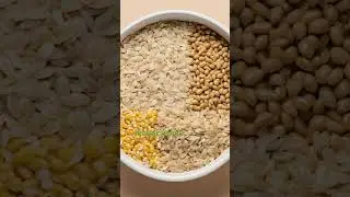 ELIGE EL MEJOR PIENSO PARA TU GATO