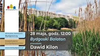 Wirtualne zwiedzanie Bydgoszczy - przyroda bydgoskiego Balatonu