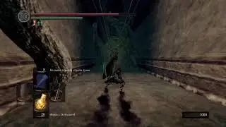 Dark souls Remastered на Playstation 5 #6