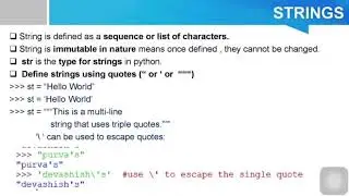 Python Data Structure