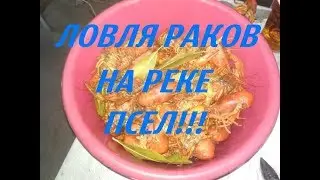 ЛОВЛЯ РАКОВ НА РЕКЕ ПСЕЛ!!!