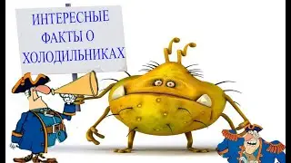 Интересные факты о холодильниках