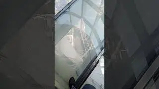 Я вам сладкий хлеб принёс с 120 этажа