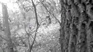 Furcsa Slender 1.