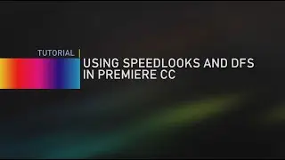 Using SpeedLooks and DFS in Premiere CC