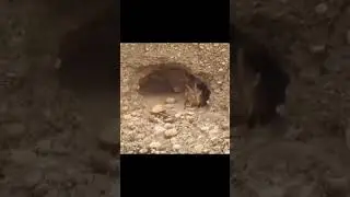 Молния. Пренебрегая законами физики.