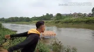 Temon si bocah galau | bucin |storry wa