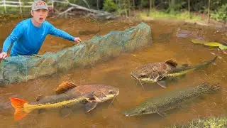 Trapping MONSTER Aquarium Fish in ABANDONED MUD POND!
