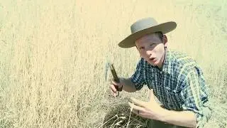 Sickles are not Scythes!