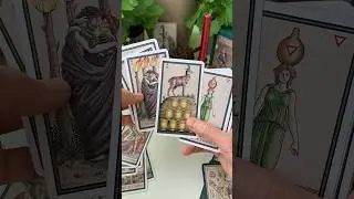 Колода Таро Алхимии 