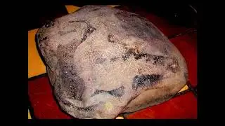The Record of the Rocks - Don Patton