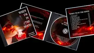 Promo-Album - When I Am In The Mood feat. Paul Dempsey