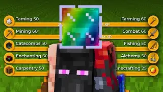 i've wasted my life (Hypixel SkyBlock)