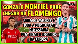 #NOATAQUE 10  - GONZALO MONTIEL INTERESSA AO FLAMENGO | ENTENDA OS PASSOS DO FLA PARA TER O JOGADOR