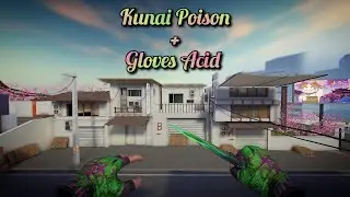 Kunai Poison + Gloves Acid