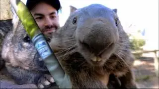 ТОП 10  Редкие виды животных