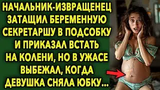 НАЧАЛЬНИК И БЕРЕМЕННАЯ СЕКРЕТАРША