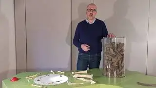 Der Scharfrichter und sein Handwerk - Teil 1/2