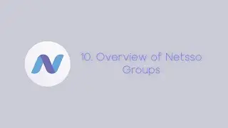 10. Overview of Netsso Collaboration Groups