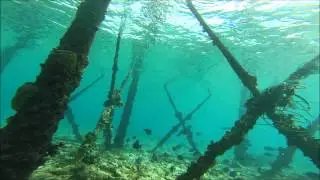 Snorkeling in Key Largo with Navionics