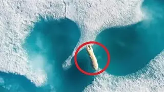 This photo shocked the entire Internet! Just look what the drone found!