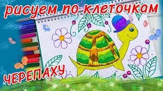 Как нарисовать черепашку. Простой рисунок по клеточкам.