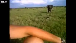 6. Юнит, в атаку! [видео]