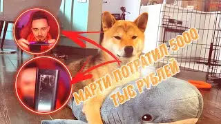 МАРТИ ПОТРАТИЛ 5000 ТЫС. РУБЛЕЙ!