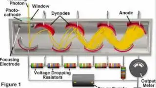 Phototubes and Photomultipliers