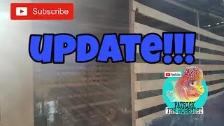 GUPPY HEADQUARTER UPDATE!!