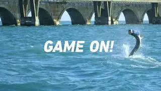 Lowrance | Active Target - Game On