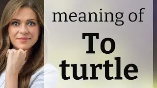 Unpacking the Shell: The Meaning of 