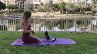 Smart chihuahua and her trainer