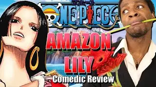 The Entire Amazon Lily Arc | One Piece Anime