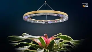Best of Kickstarter 💡 Cura Plant-Care System