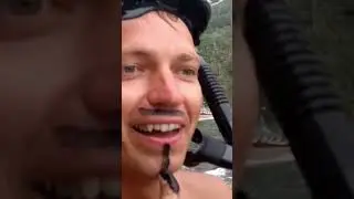 НАПАЛ ОСЬМИНОГ