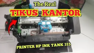 PENYEBAB PRINTER HP INK TANK 315 Tidak Bisa Narik Kertas ♾ Cn't Scan and Print.