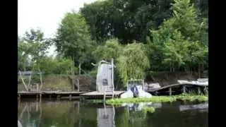 Коропові Хутори, Гомільшанські ліси. Июль2013