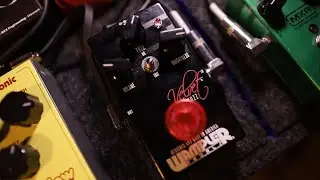 Wampler Velvet Fuzz обзор | отличная современная педаль фузза