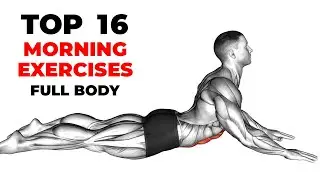 Quick Morning Exercises for Everyone: Stretching, Mobility & Flexibility